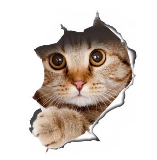 3D nálepka CAT