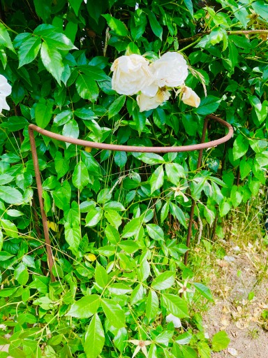 Podpera pre hortenzie, rastliny, kvety, pergola, 30/50 cm, podpery pre monstera ruže