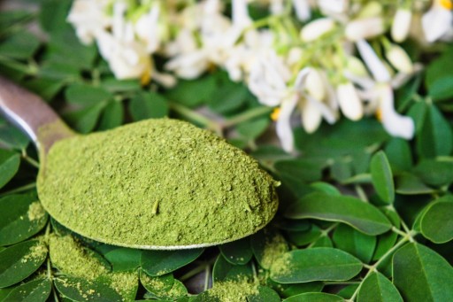 Moringa prášok Olejfera 100g