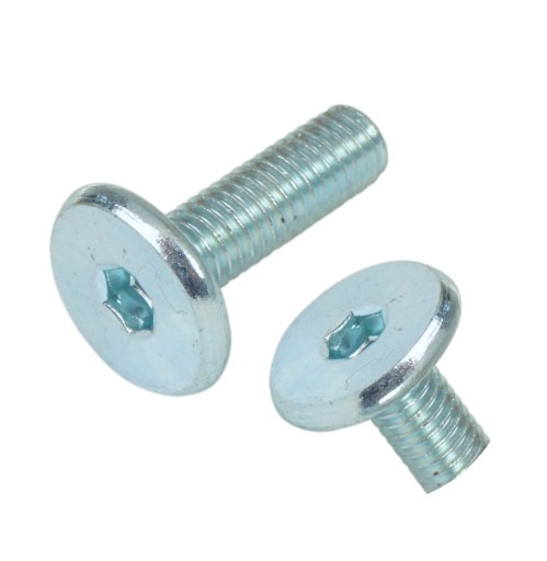 100x metrická skrutka M6 x 20 mm biela pozinkovaná s hlavou valca, nábytková skrutka