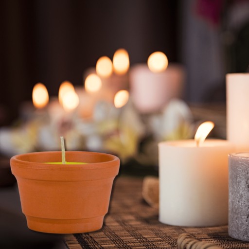 Citronella okrúhla vonná sviečka 60/90 PRO CANDLE proti komárom