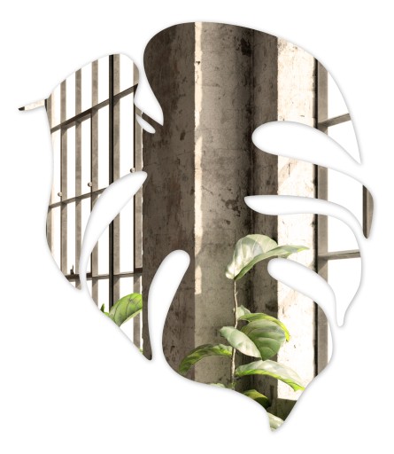 Akrylátové ZRKADLO monstera list 20x23 LZ-103