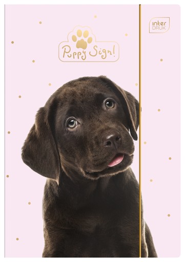 Zložka A4+ s gumičkou Puppy Sign, interprint