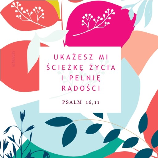 Korkový stojan - Ukážeš mi cestu