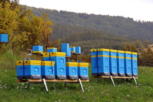 Viackvetový med 50g Łysoń včelín