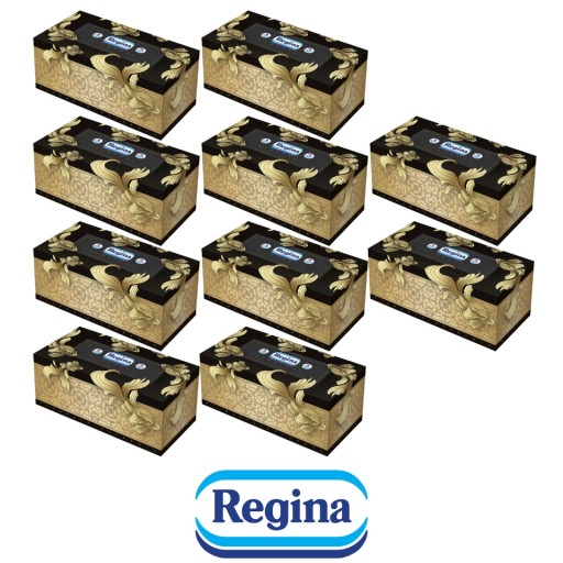 Regina vreckovky Box 4 v 96 ks
