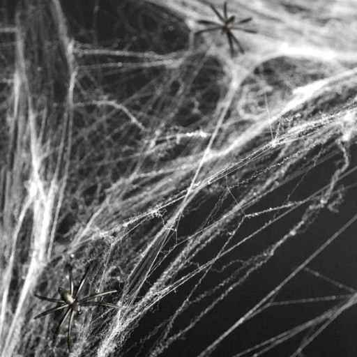 SPIDER WEB biela HALLOWEEN pavučina nylon 10g