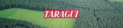 Yerba Mate Taragui Despalada SIN PALO Pure Leaf