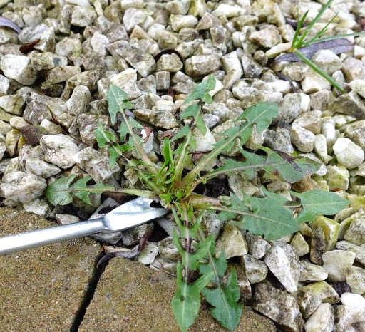 WEED CULLER WEEDING Vytrhávač buriny na vytrhávanie buriny