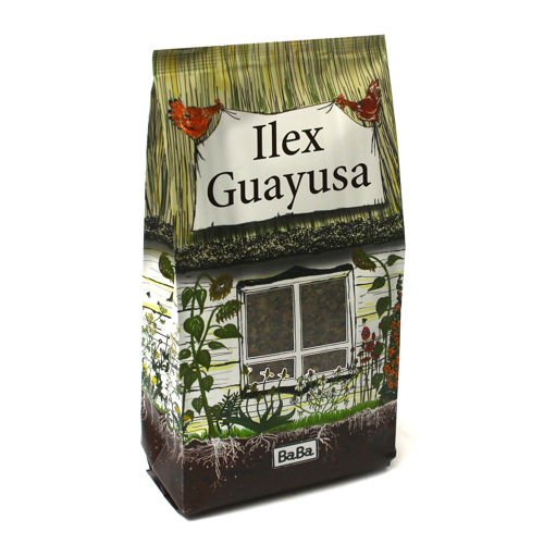 Ilex Guayusa 100g energetická relaxačná stimulácia 0,1 kg