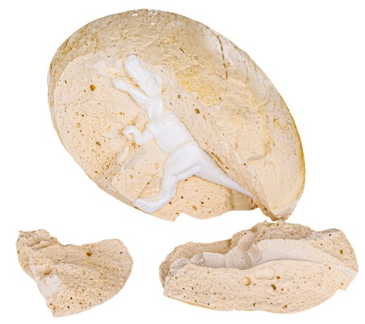 Súprava na archeologické vykopávky VAJÍČKO S DINOSAUROM Malým archeológom Paints