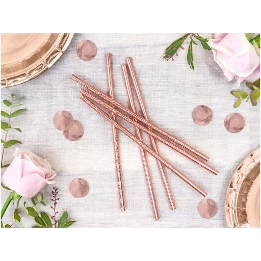 Papierové slamky 19,5 cm 10 ks Rose Gold 019R