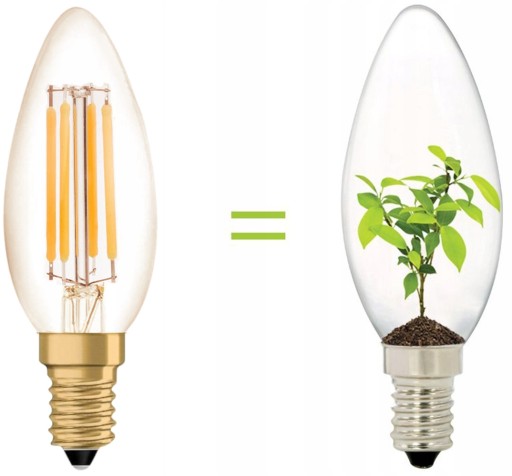 E14 LED ŽIAROVKA 4W 400lm VINTAGE 2 kusy