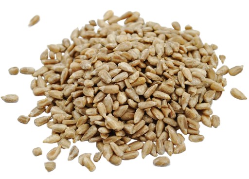 LÚPANÉ slnečnicové semienka PRIRODZENE ČERSTVÉ 1kg