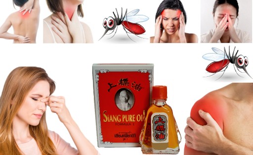 SIANG ČISTÝ OLEJ NA BOLESŤ HLAVY PRECHLADNUTÝ KOMÁR BYLINKOVÝ 3ml