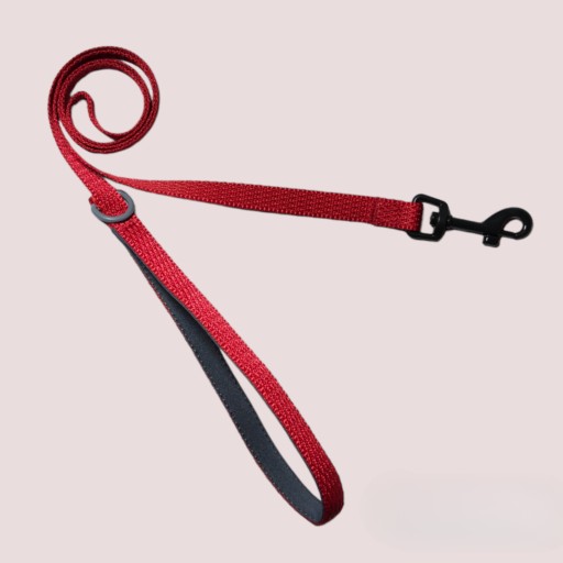 Vodítko pre psa URBAN NYLON klasický popruh s mäkkou rukoväťou 1,2m S