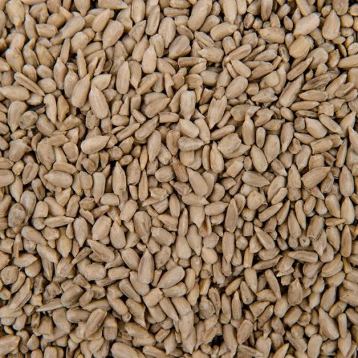 LÚPANÁ SLNEČNICA 1kg slnečnicového semienka