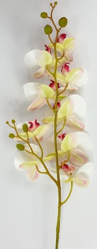 ORCHIDEA ORCHIDOVÁ ODBOR 9 KVETOV 100cm GUM