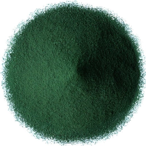 Spirulina Čistiaci prášok z morských rias Chlorofyl 250g TARGROCH