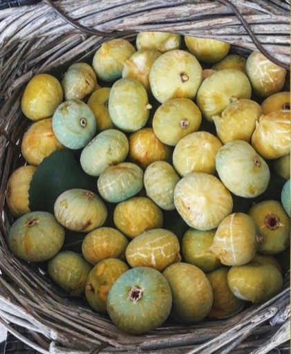 Prírodne sušené, nesladené grécke figy z ostrova Evia 100g