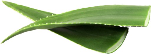Aloe šťava S DŇIŽINOU 100% NFC bez cukru 250ml