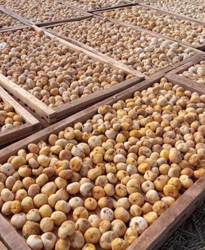 Prírodne sušené, nesladené grécke figy z ostrova Evia 100g