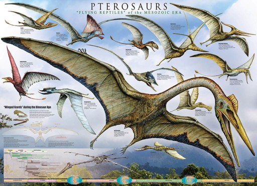 Plagát na stenu Pterosaurs Dinosaury 91,5x61 cm