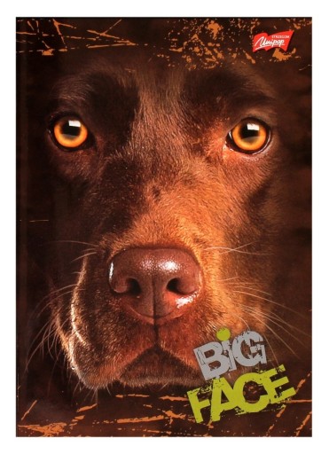 A5 80k mriežkový zápisník Big Face Animals Unipap