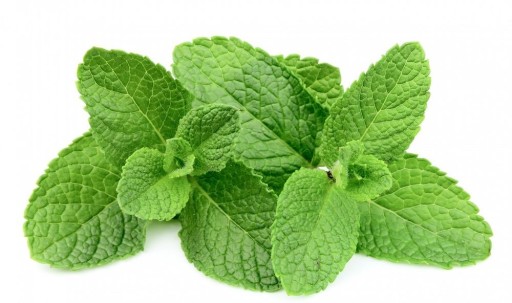 Sladká mätová aróma 10 ml