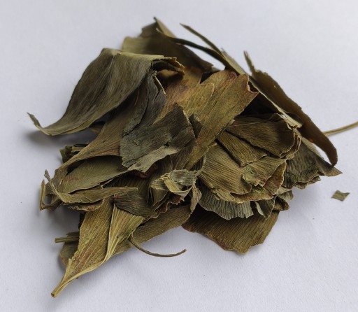 Ginkgo Biloba list - 50g - Dary Podlasie