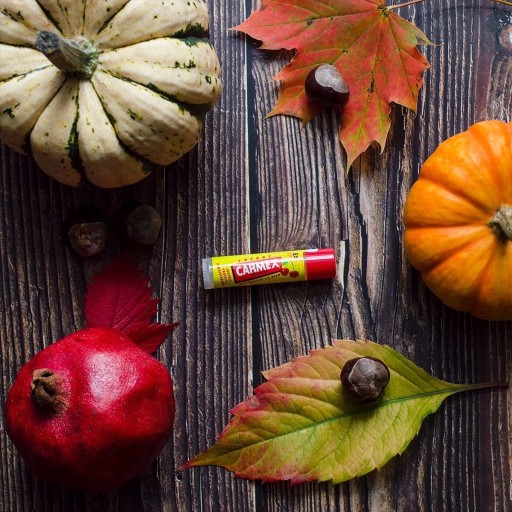 Carmex Naturally - balzam na pery - Čučoriedka 4,25 g