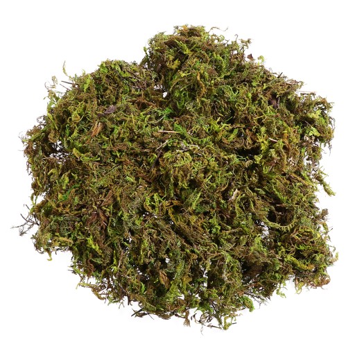 Prírodný lišajník na dekoráciu (60g)