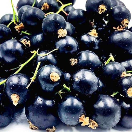 FruttaMax koncentrát sirupu z čiernych ríbezlí pre Sodastream 500 ml