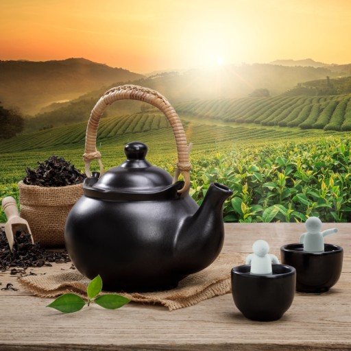SITKO NA KÁVU NA BYLINKY S RÚČKOU SILIKÓNOVÉ MAN 1 KS TEA BREEDER