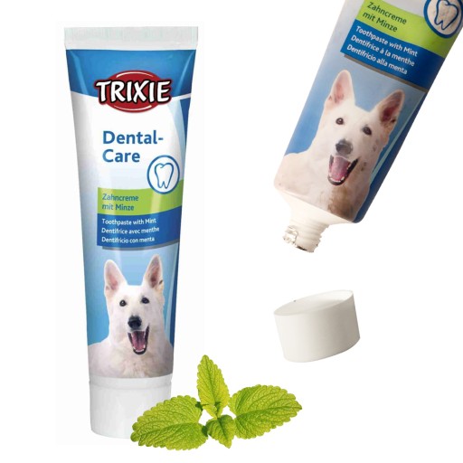 PASTA NA ČISTENIE ZUBOV PRE PSOV MINT TRIXIE DENTAL CARE 100G