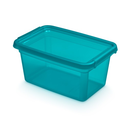 Úložný kontajner Box s krytom, hračky a drobnosti BaseStore 4,5l