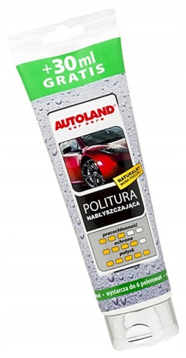X5B83 AUTOLAND LESK LESK 280ml 6 POL