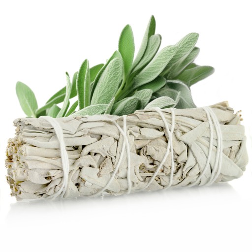 Biela šalvia Salvia Apiana kvalitný strapec