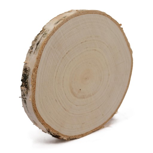Nasucho brúsený drevený plátok 15-20 cm, breza