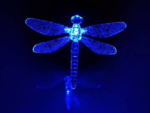LED solárne svietidlo BUTTERFLY DRAGONFLY na kameni RGB P-605