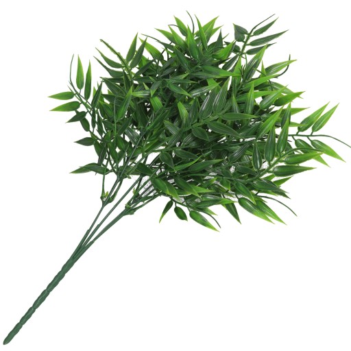 RUSCUS BOUQUET HRUBÉ KONÁRE ZELENÝ PRÍDAJ DO KYTICOVÝCH KRÉMOV