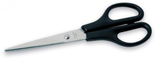 Nožnice 21 cm čierne