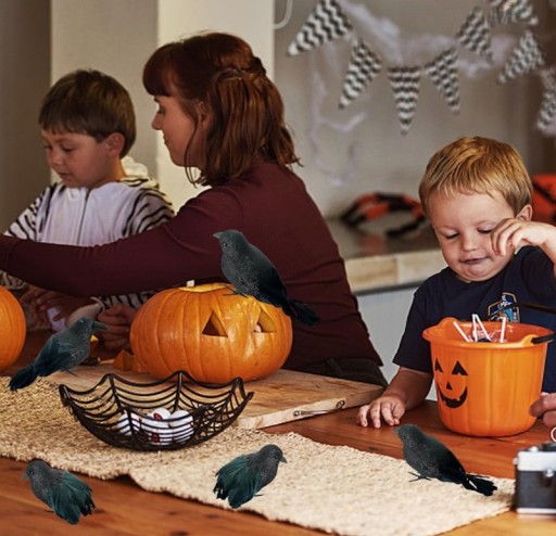 ČIERNA SUROVÁ VTÁČIA OZDOBA HALLOWEEN 3 ks