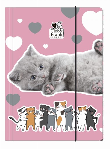 A4 Derform zložka s gumičkou CLEO I FRANK cats