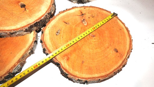 REZ DREVA, BREZA PEČIATKA, 22-25CM, 1KS