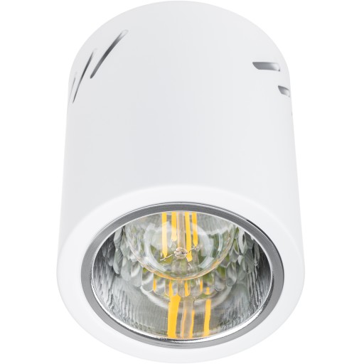 Prisadené stropné svietidlo SPOT LARGE TUBE LED E27 biele okrúhle 12cm