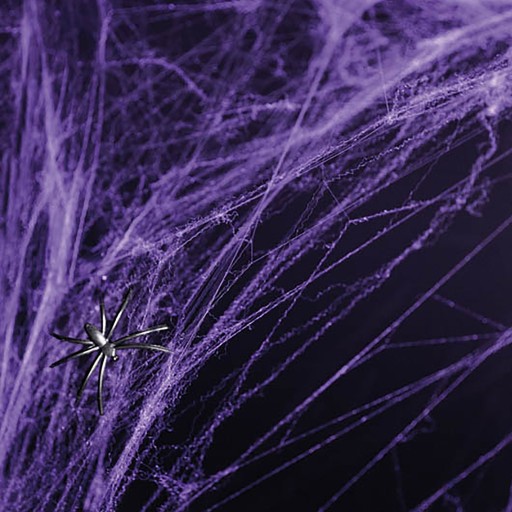 SPIDER WEB HALLOWEEN 60G FIALOVÁ