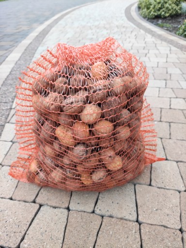 VLAŠSKÉ ORECHY V LÚPADE 1KG