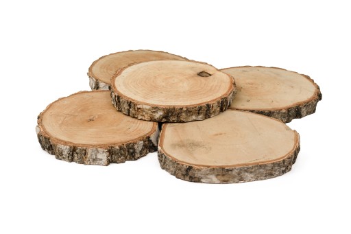 Drevený plátok s priemerom 15-20 cm, hrúbka 2 cm - 1 ks