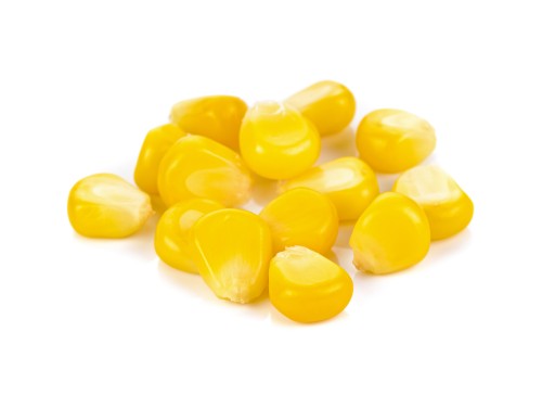 Popcornové zrno 1kg KUKURICA na pečenie / BIOSWENA